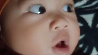 babylobs