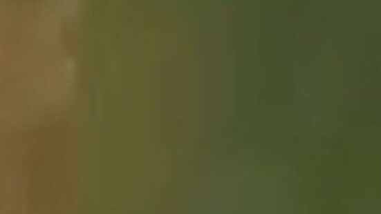 【Midu】Satu permainan mengalami pasang surut kehidupan.