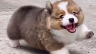 “Một số điều nhỏ nhặt dường như có thể chữa lành cho bạn.”