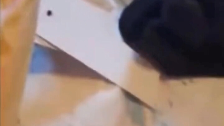 الثعبان: انتبه جيدًا، سأريك العرض الكامل!