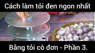 Cách làm tỏi đen ngon nhất bằng tỏi cô đơn #3