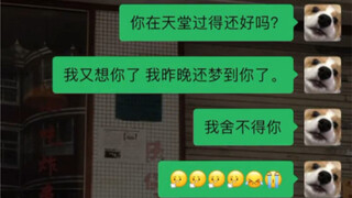 กล่องโต้ตอบนี้อยู่ตรงนั้นมาห้าปีแล้ว แต่ฉันไม่เคยตอบกลับเลย ฉันคิดถึงคุณจัง