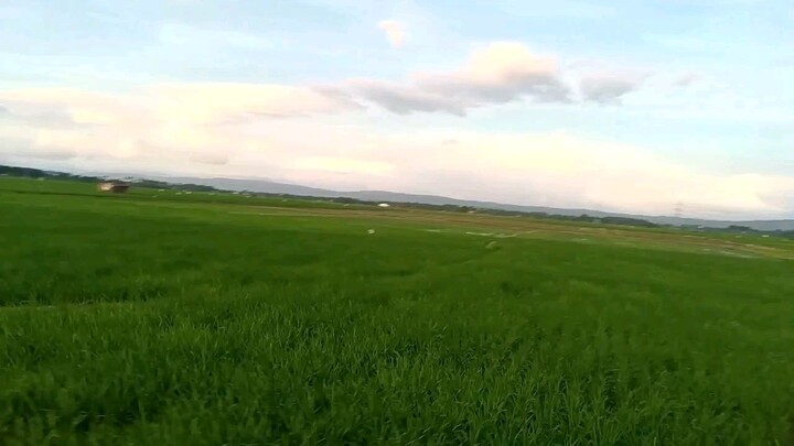 kabukirang tahimik