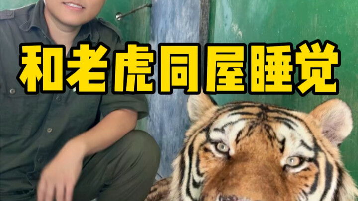 感觉跟在家睡觉没啥区别啊