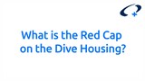 Oceanic+ 潜水屋上的红色帽子是什么？