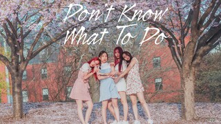【Roseberry】[Dance Cover] Blackpink -Don't Know What to Do Spring Cherry Blossom Cover