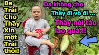 5 Chú Tiểu | 3 TRÁI DƯA GANG MỚI MỌC ĐỨC TÂM LẤY GHẾ RA NGỒI CANH NHẤT ĐỊNH KHÔNG CHO AI LẤY HẾT :))