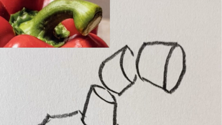 [Vẽ phác tĩnh vật] Cách vẽ cuống ớt