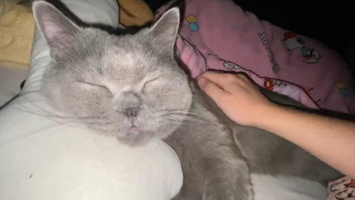 Nửa đêm bị tiếng ngáy đánh thức, bên gối lại nằm…