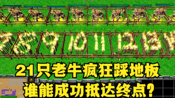 “Warcraft III: Tiga Puluh Satu Sapi Tua Gila-gilaan Menginjak Lantai, Siapa yang Bisa Sampai ke Gari