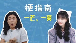 一芒、一爽是什么梗【梗指南】