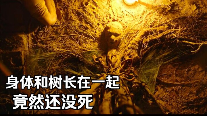 Phim kinh dị Ấn Độ thật u ám!! Lòng tham quả nhiên là di truyền, đến nỗi trộm cả đồng xu vàng ngay t
