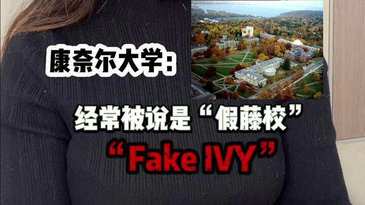 Ringkasan satu kalimat tentang kekurangan universitas-universitas ternama di seluruh dunia! Apakah k