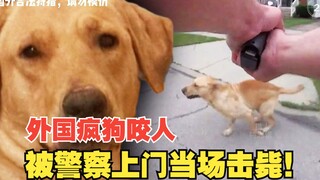 It's so satisfying—foreign mad dogs biting people were shot dead on the spot by police at their door