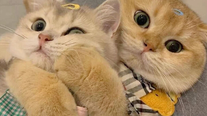 ความแตกต่างระหว่างรูปถ่ายกลุ่มของผู้หญิงกับผู้ชาย #รูปถ่ายกลุ่ม #เวทีวิจารณ์บันเทิง #ขำๆ