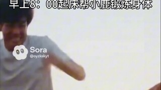 【Sora2】日本网友嘴里老中游客充实的一天