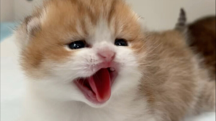 ทำไมถึงทำให้โกรธอีกแล้วล่ะ?