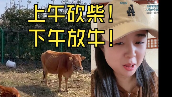 น้ำตาซึม🤣 ชานอิงในวันหยุดตื่นตีสาม วิ่ง 5 กิโล ขึ้นเขาตัดฟืน แล้วลงจากเขามาเลี้ยงวัว😅