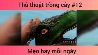 Mẹo thủ thuật trồng cây p12