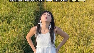 Tips for taking photos of rice fields, postures for taking photos of rice fields, angles for taking 