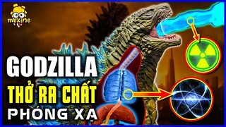 VÌ SAO HƠI THỞ NGUYÊN TỬ CỦA GODZILLA CÓ MÀU XANH? | meXINE Khoa Học #09
