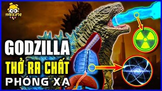 VÌ SAO HƠI THỞ NGUYÊN TỬ CỦA GODZILLA CÓ MÀU XANH? | meXINE Khoa Học #09