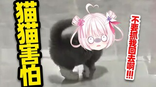 猫猫被抓了也是会害怕的！！！