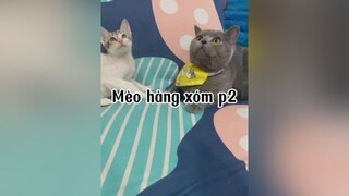 Qua thăm nhà  Hàng xóm cách 10 bước chânnnn mèo cat