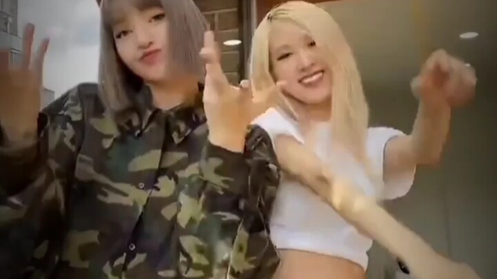 I absolutely love Lisa and Rose!!!