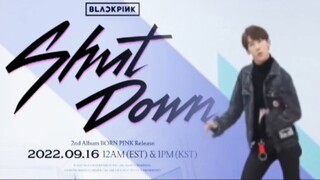 BLACKPINK shut down但是丁泽仁
