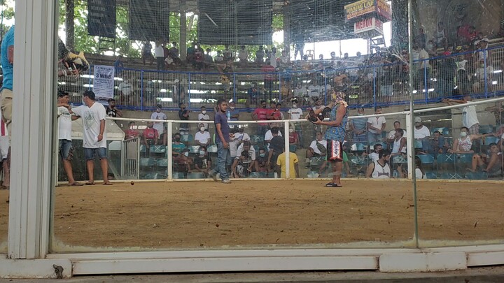 HBD-NATHANIEL (1st fyt)