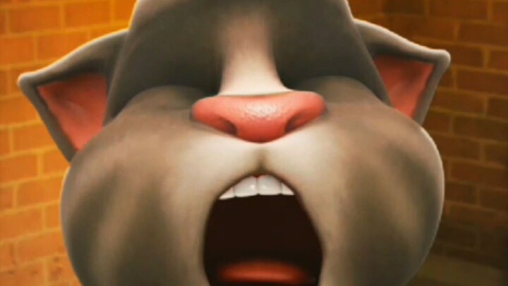 Talking Tom Cat