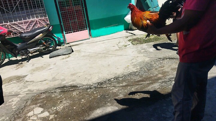 naka apat na SI bolik ko.. ☺️☺️