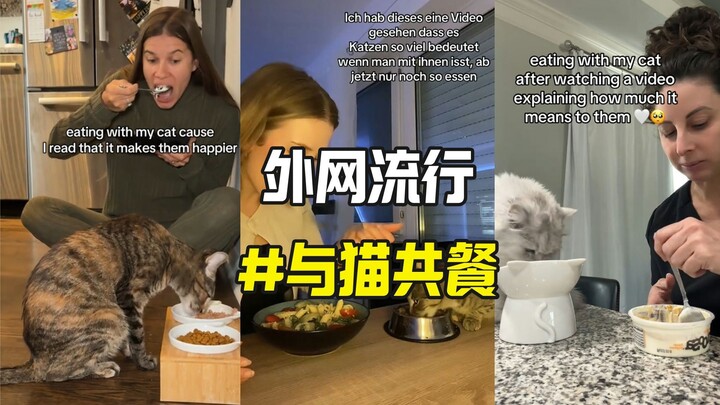 #DiningWithCats Is Trending Online — Have You Ever Shared a Meal with Your Furry Friend?