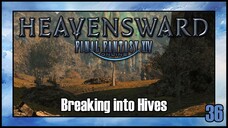 Final Fantasy 14 - Breaking into Hives | Heavensward Main Scenario Quest | 4K60FPS