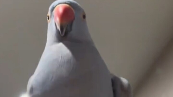 ฉันจะมาจีบ ee หน่อย