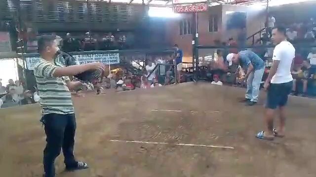 Feb 20:2024 . lost din sa pangalawang laban .hnd tayo pinalad na manalo mnga i dol. .🥹🥺