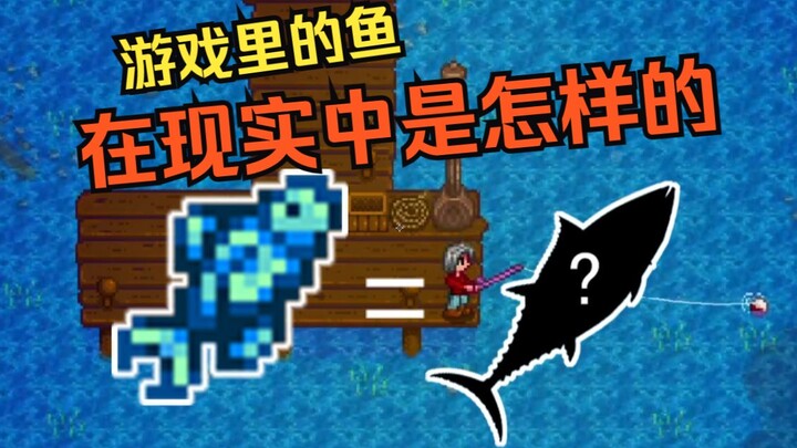 Tampilan ikan dalam game di dunia nyata [Stardew Valley] 01
