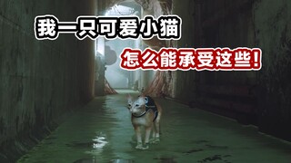 Hiểu rồi! Đây là trò chơi kinh dị