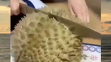 tutorial mengupas durian (yang sangat rapi)#meme