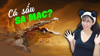 BÍ ẨN BẤT NGỜ Ở SA MẠC ► Những Điều KỲ LẠ NHẤT Từng Được Tìm Thấy Ở Sa Mạc