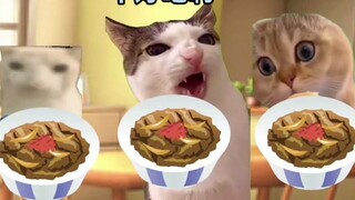 [Cat meme] The father who was scolded for cooking a terrible meal
