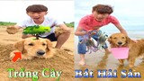 Thú Cưng TV | Dương KC Pets | Gia Đình Gâu Đần #11 | Chó thông minh vui nhộn | funny cute smart dog