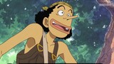 【Usopp’s Biography】Born in the mortal world, he eventually became outstanding