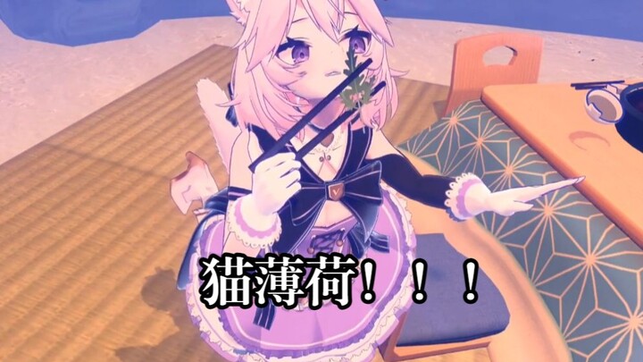 【Nyanners】Cat who took catnip