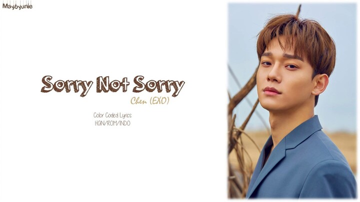 Chen (첸) – Sorry not sorry (하고 싶던 말) (Indo Sub)