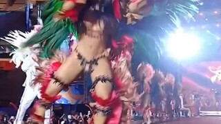 巴西弗拉明戈
