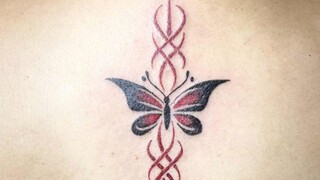 butterfly