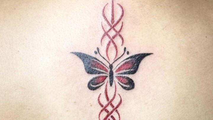 butterfly