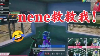 Everyone is NE-ing! Li Zhenning, Zhai Xiaowen, and Zhang Yanqi imitate Nene Zheng Naixin's speech! T